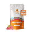 A stand-up pouch of Orange County CBD Gummies in strawberry flavor, shown on a clean white background with three gummy candies placed in front. The packaging is white and orange with a clear window revealing multicolored gummies inside, and an orange hang tag reading 'NEW LOOK! SAME QUALITY.
